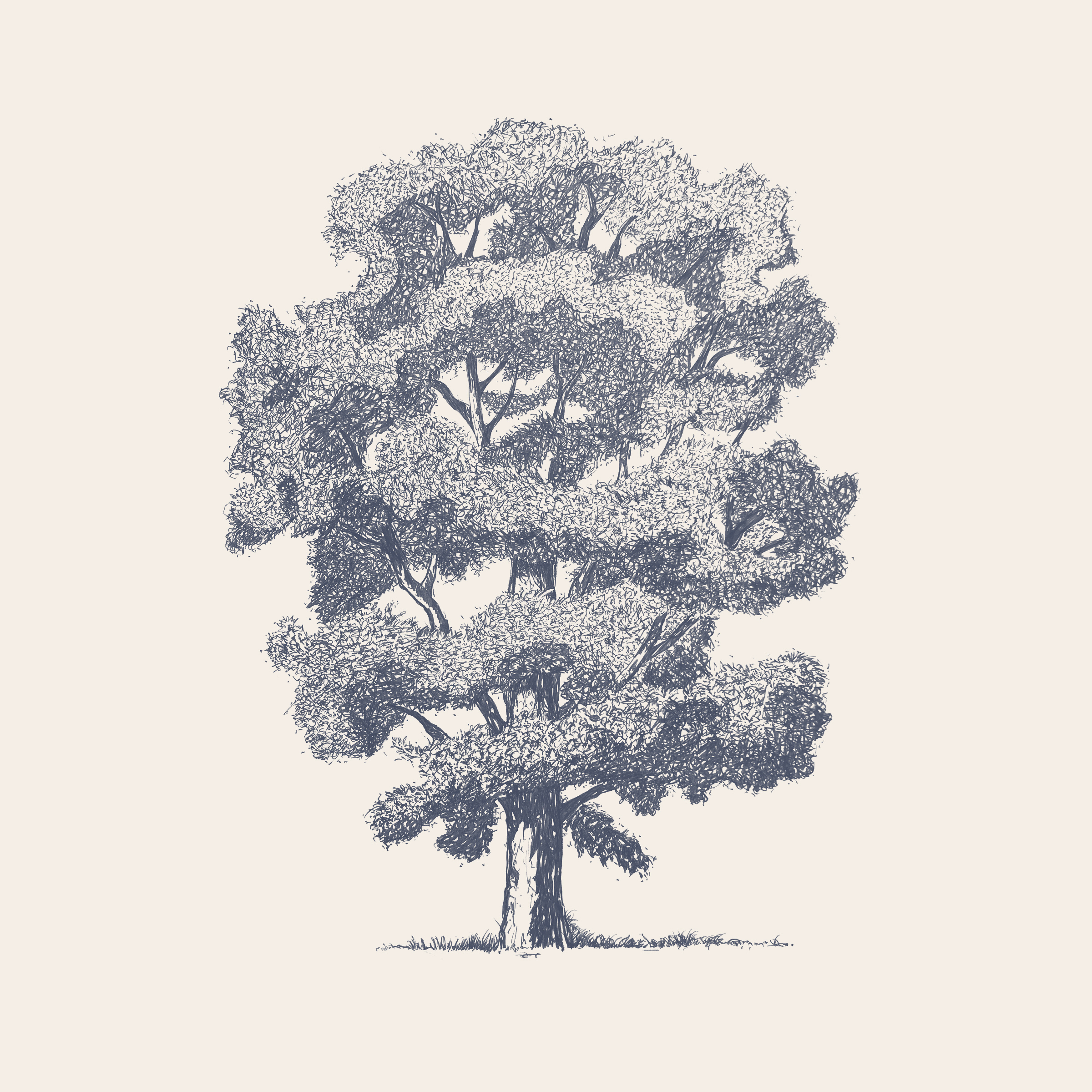 tree-drawing